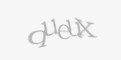 Защитный код