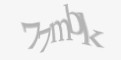 Защитный код