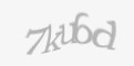 Защитный код